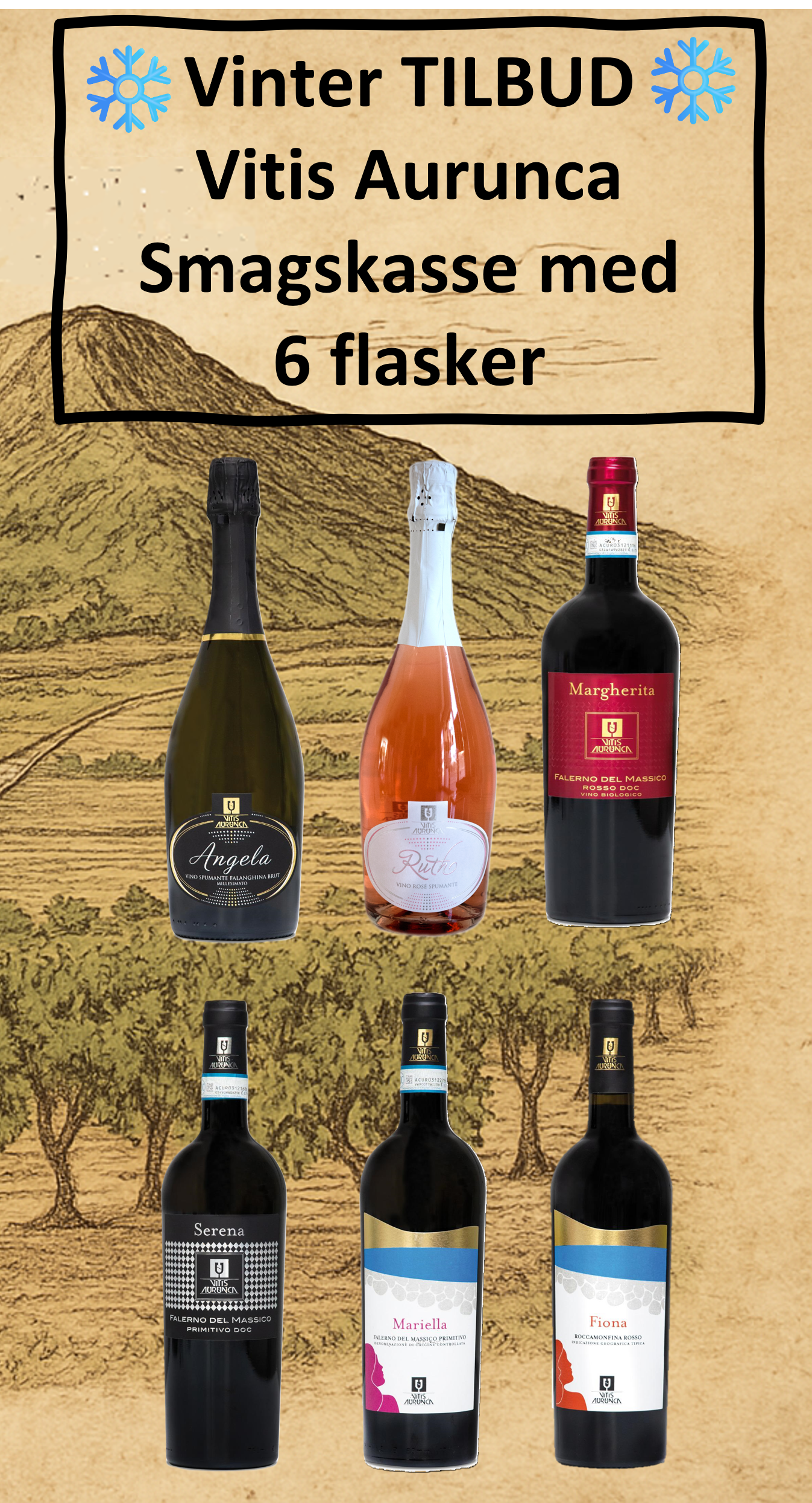 Vinterpakke tilbud - Smagskasse med 6 vine