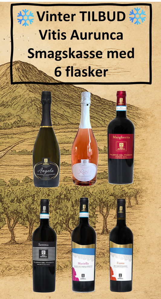 Vinterpakke tilbud - Smagskasse med 6 vine